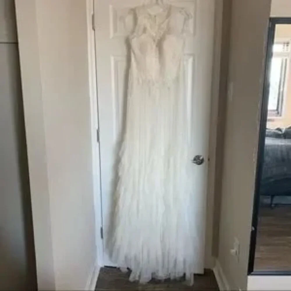 Pronovias Draconia Wedding Dress - Picture 3 of 13